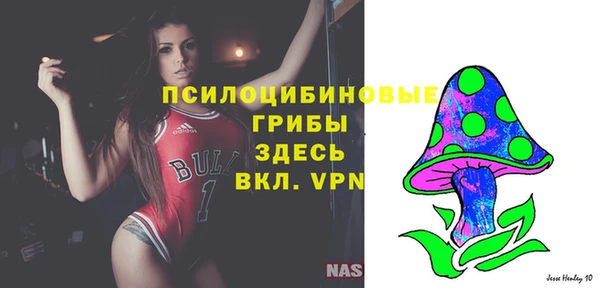 сатива Остров