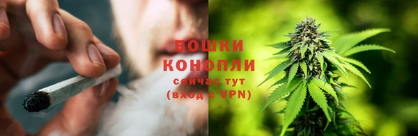 сатива Остров